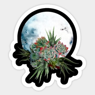 Moonlight Succulents 2 Sticker